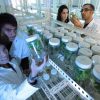 Inspirasi dari Kiprah Perempuan di Bidang Sains