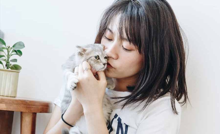 Agar tak Ada Toxoplasma di Antara Kita, ini yang Harus Dilakukan Berinteraksi dengan kucing memang menyenangkan. Tapi ada hal khusus yang wajib kita lakukan (foto: Tran Mau Tri Tam | unsplash)